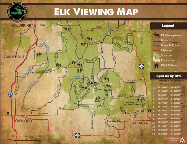 How to have your own elk encounter Gaylord Michigan